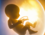 PRENATAL
